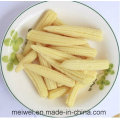 Canned Whole Baby Corn mit günstigen Preis